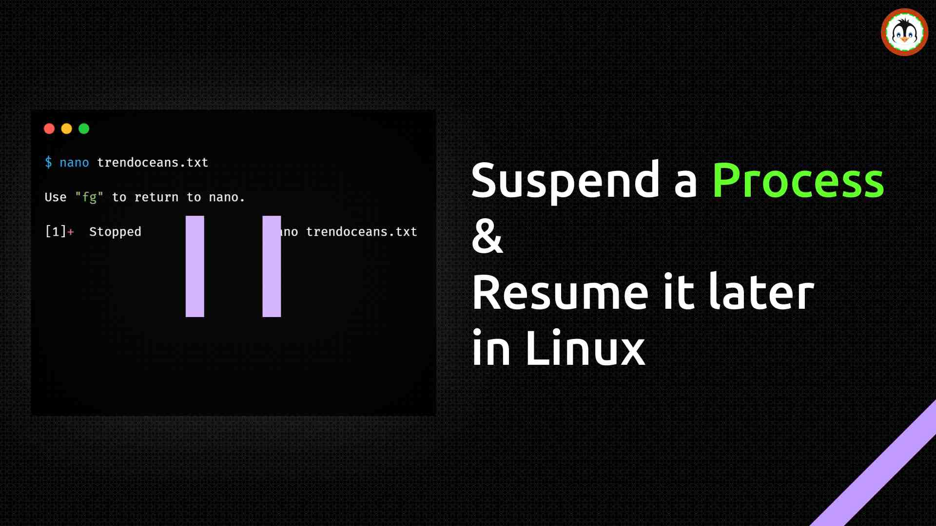 linux resume stopped process