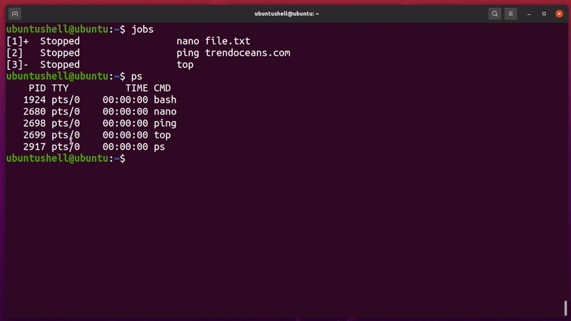 Suspend a Process and Resume it later in Linux